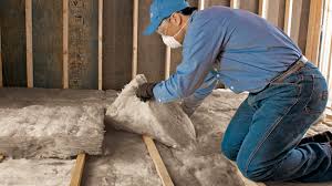 Professional Insulation Removal & Installation in Port Orange, FL